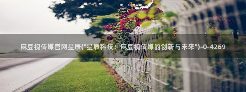 麻豆传媒官网app导航：麻豆视传媒官网星辰(\