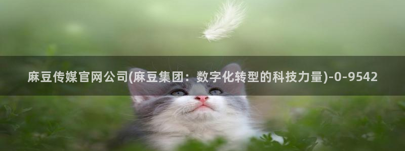 麻豆传媒映画官网：麻豆传媒官网公司(麻豆集团：数字化转型的科技力量)