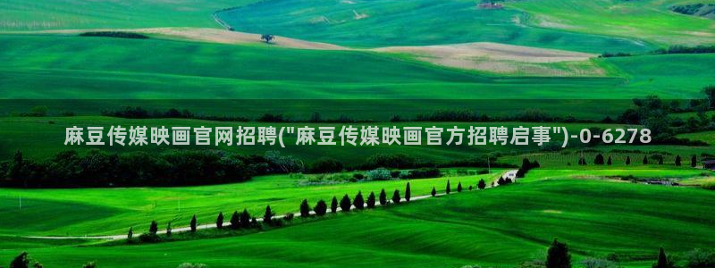 麻豆传媒官网是啥：麻豆传媒映画官网招聘(\