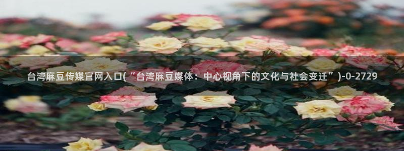 麻豆传媒国产之光官网：台湾麻豆传媒官网入口(“台湾麻豆媒体：中心视角下的文化与社会变迁”)