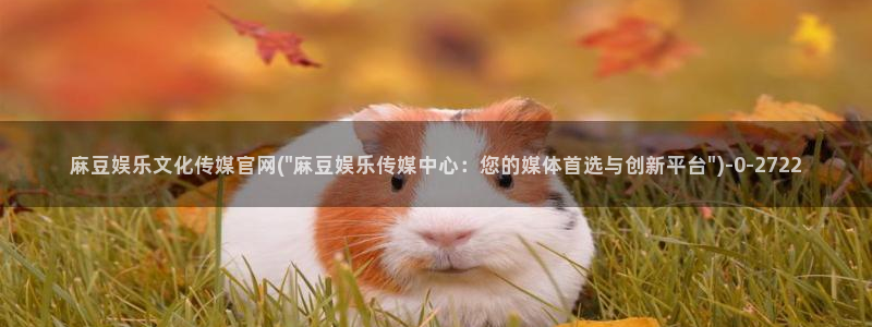 麻豆传媒官网电影：麻豆娱乐文化传媒官网(\