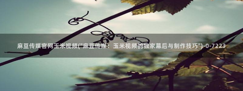 麻豆影像传媒官网在线：麻豆传媒官网玉米视频(\