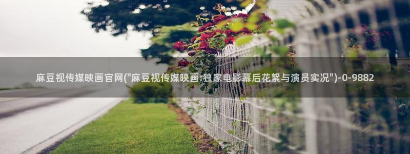 麻豆传媒官网链接：麻豆视传媒映画官网(\