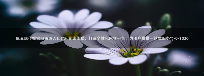 麻豆传媒官网地址：麻豆床传媒官网首页入口(\