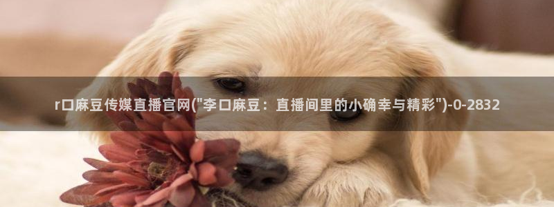 麻豆视传媒官网入口进入：r口麻豆传媒直播官网(\