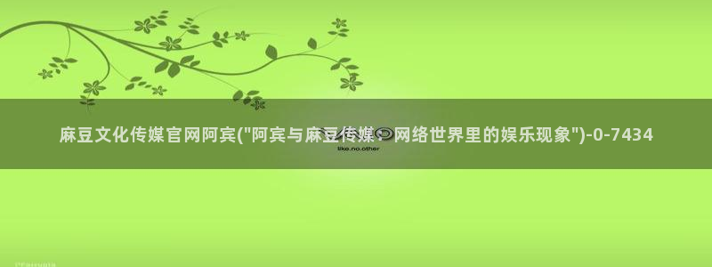 91麻豆传媒官网：麻豆文化传媒官网阿宾(\