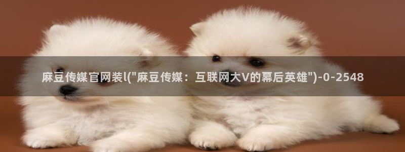 麻豆视传媒短网站官网：麻豆传媒官网装l(\
