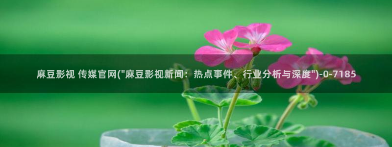麻豆传媒官网在线免费：麻豆影视 传媒官网(\