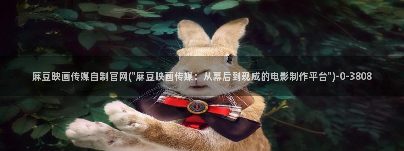 麻豆映传媒官网A：麻豆映画传媒自制官网(\