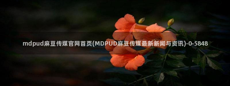 麻豆传媒公司官网：mdpud麻豆传媒官网首页(MDPUD麻豆传媒最新新闻与资讯)