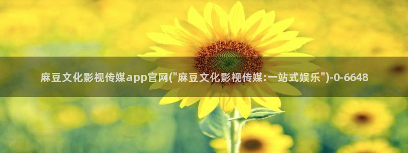 传媒的官网麻豆：麻豆文化影视传媒app官网(\