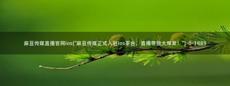 麻豆传媒直播官网：麻豆传媒直播官网ios(\