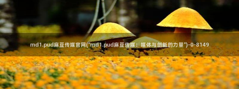 麻豆传媒之光官网：md1.pud麻豆传媒官网(\
