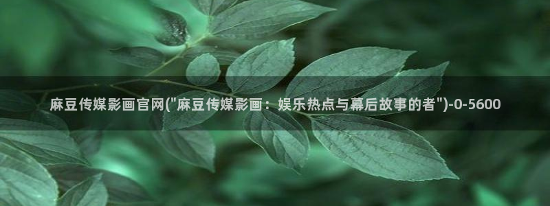 麻豆传媒在线官网入口